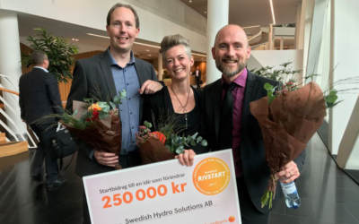 Pris Swedbank Rivstart